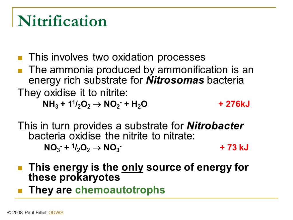 Nitrification This involves two oxidation processes The ammonia produced by ammonification is an energy